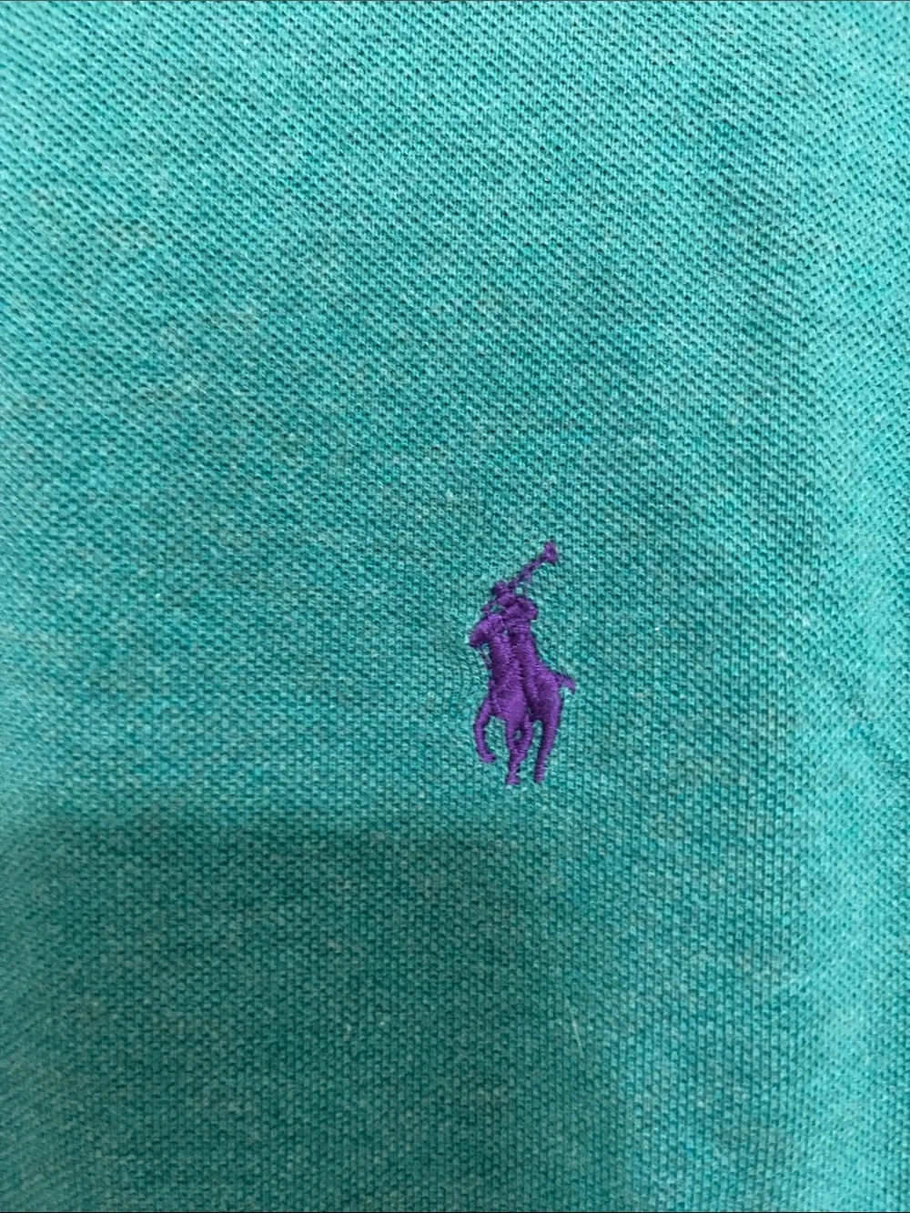 Polo by Ralph Lauren Teal Short-Sleeve Polo with Purple Pony